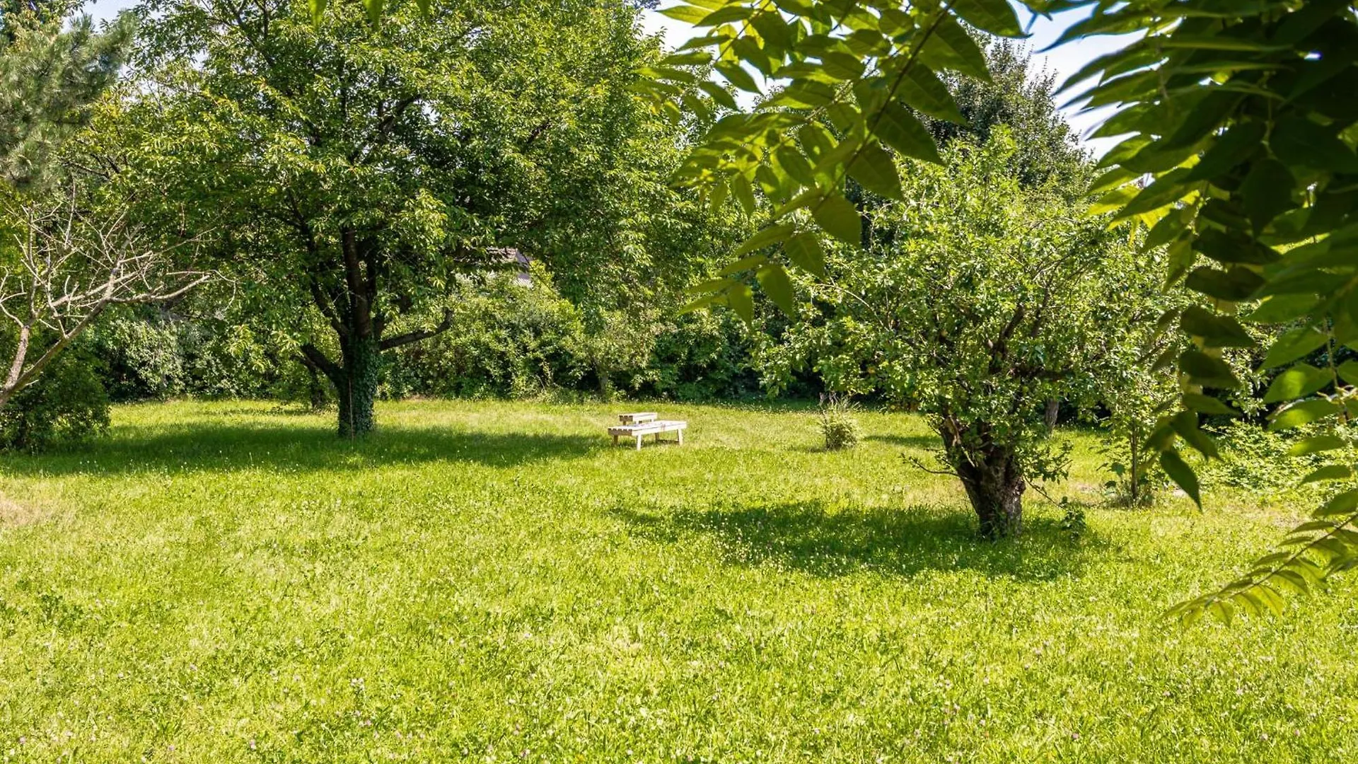 Hostel Comfy Rooms In Shared Villa With Terrace And Garden Vienna Austria